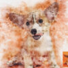 Pen & watercolor Photoshop action