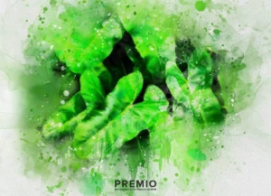 Premio Watercolor Photoshop Action