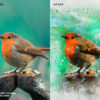 Premio Watercolor Photoshop Action
