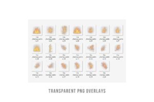 Fire_Overlay_Preview