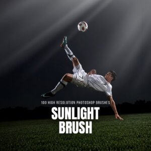 100 sunlight brushes
