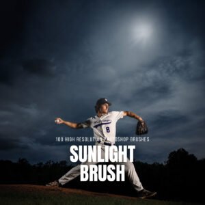 100 sunlight brushes