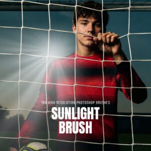 100 sunlight brushes