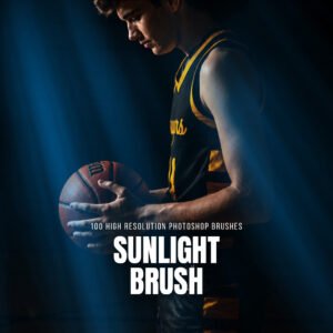 100 sunlight brushes