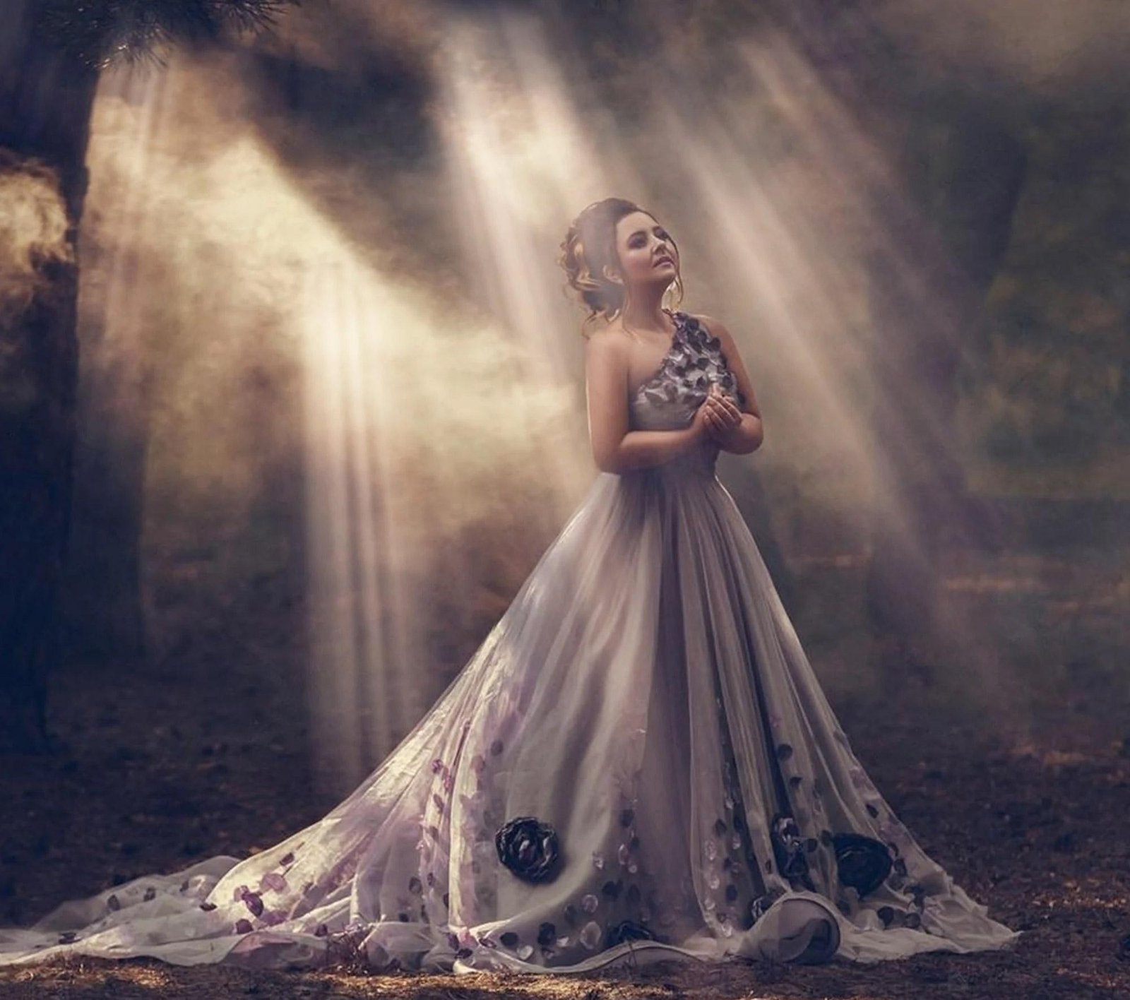 100 Sunlight Overlays
