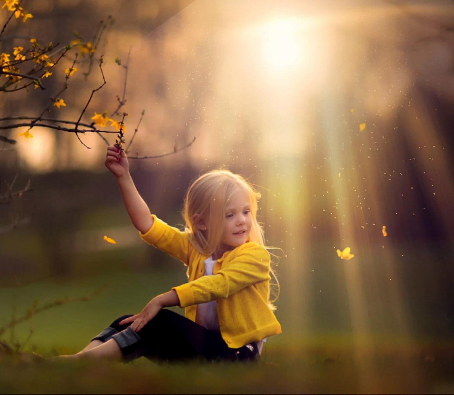 100 Sunlight Overlays